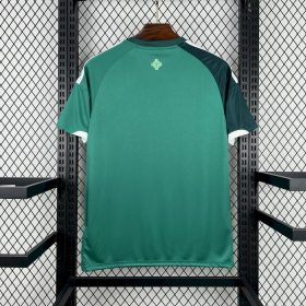 Mens Northern Ireland 2026 World Cup Home Jersey - Image 2