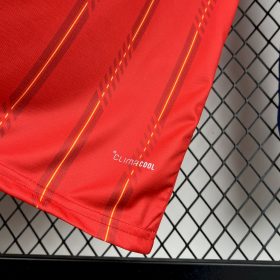 Mens Spain 2026 World Cup Home Long Sleeve Jersey españa - Image 8